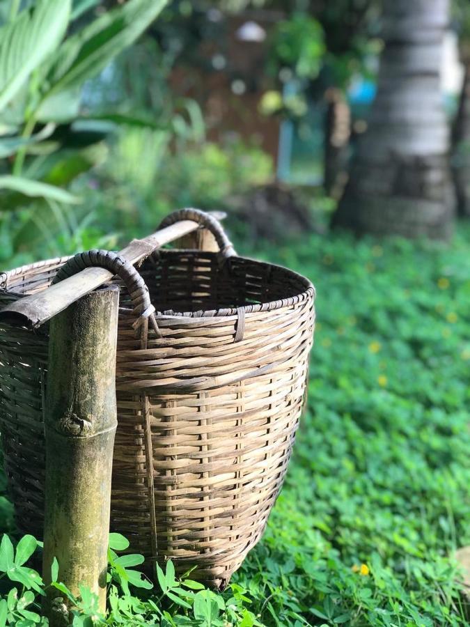 Phuc Sinh Homestay Ben Tre Exteriér fotografie